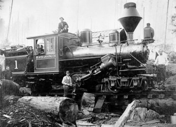 Beaver Logging Co #1.jpg