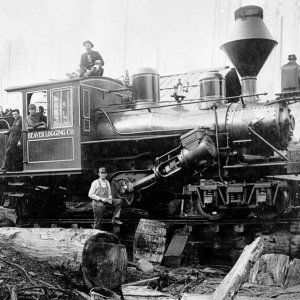 Beaver Logging Co #1.jpg